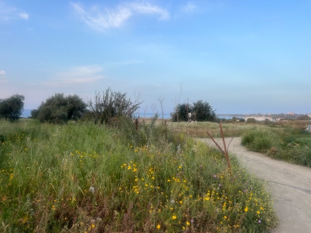 10 acres of land for sale in a magnificent location for tourism purposes next to the sea in Karsiyaka