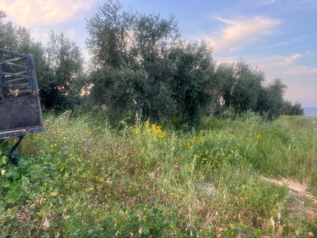 10 Hektar Land zum Verkauf in herrlicher Lage für touristische Zwecke direkt am Meer in Karsiyaka