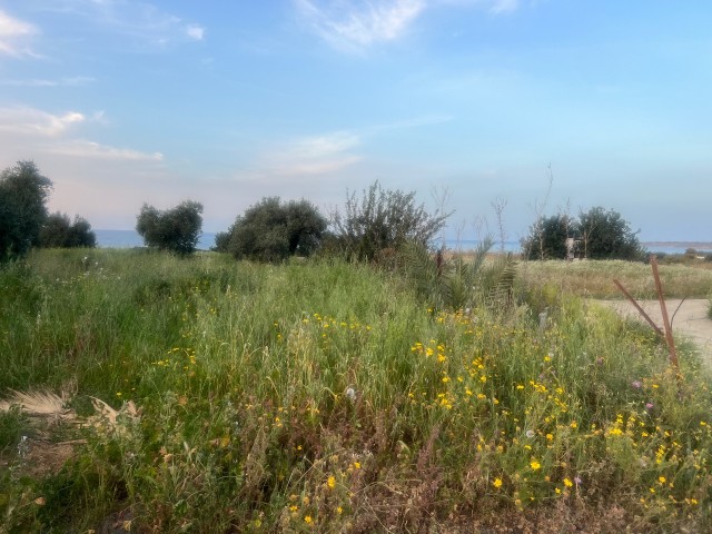 10 acres of land for sale in a magnificent location for tourism purposes next to the sea in Karsiyaka