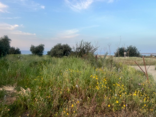 10 Hektar Land zum Verkauf in herrlicher Lage für touristische Zwecke direkt am Meer in Karsiyaka