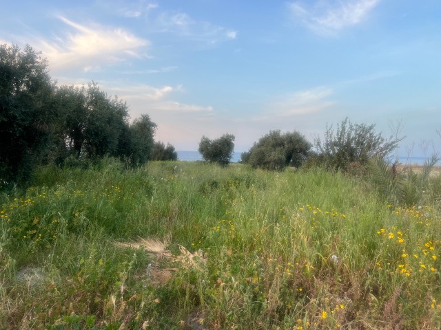 10 acres of land for sale in a magnificent location for tourism purposes next to the sea in Karsiyaka