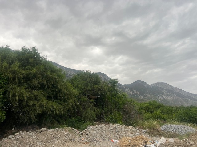 Wohngebiet Zu verkaufen in Lapta, Kyrenia