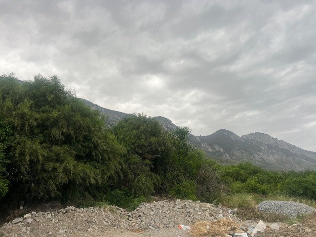 منطقه مسکونی برای فروش in Lapta, گیرنه