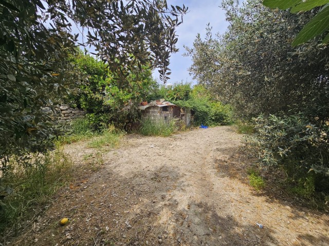 Einfamilienhaus Zu verkaufen in Alsancak, Kyrenia