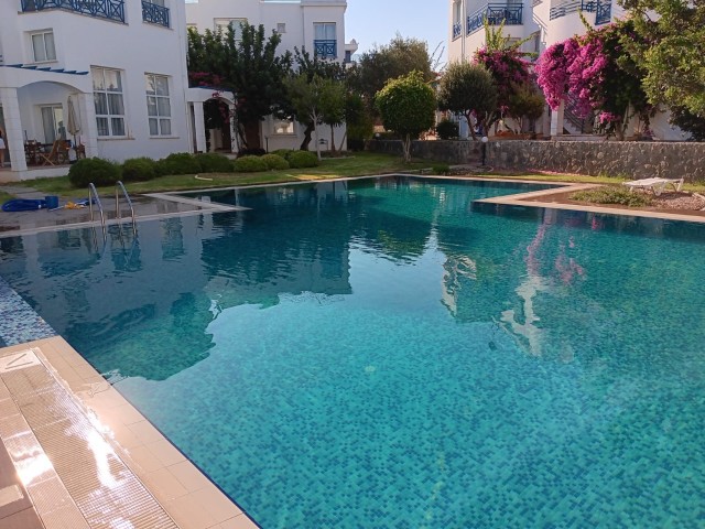 Alsancak 1+1 in blue mare site with shared pool, close to escape beach, walking distance to markets,