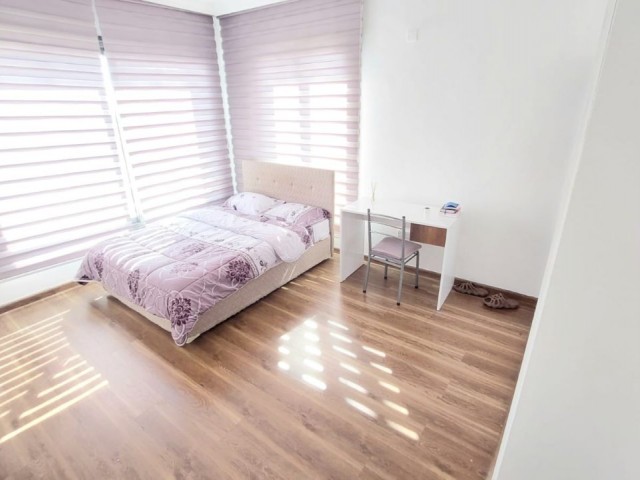 Flat To Rent in Hamitköy, Nicosia