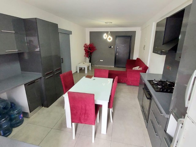 Furnished Ground Floor Apartment For Sale In Nicosia Gonyeli Area  