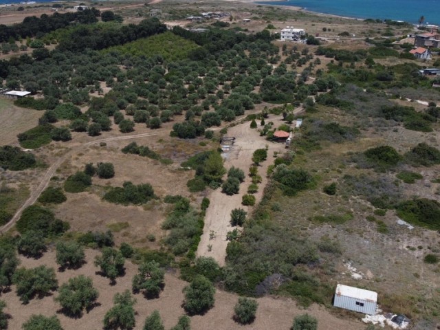 1 acre of land for sale in Karşıyaka