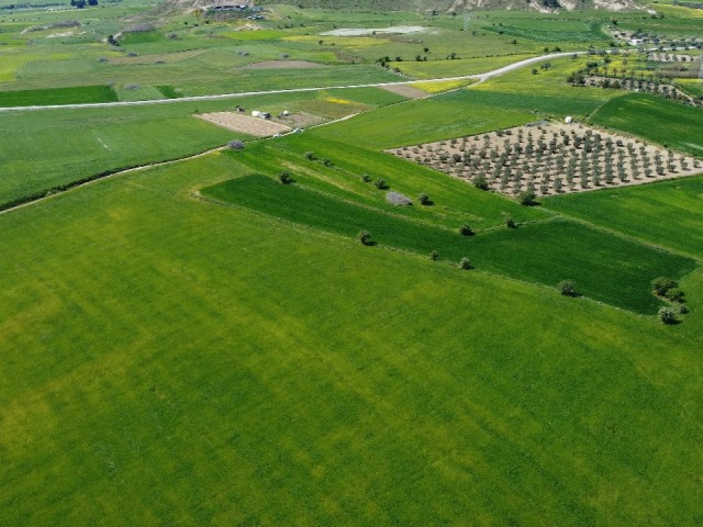 3 Acres of Turkish Cob Field for Sale in Hisarköy Region