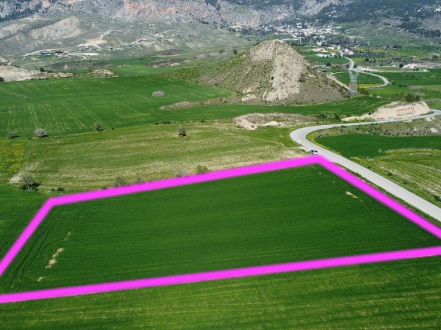 4 Acres of Field for Sale in Nature in Kyrenia Kozanköy Region