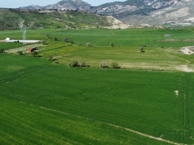 4 Hektar Feld zum Verkauf in der Natur in der Region Kyrenia Kozanköy