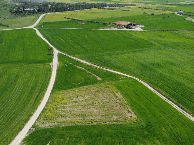 Поле на продажу на природе в Кирении, регион Козанкёй