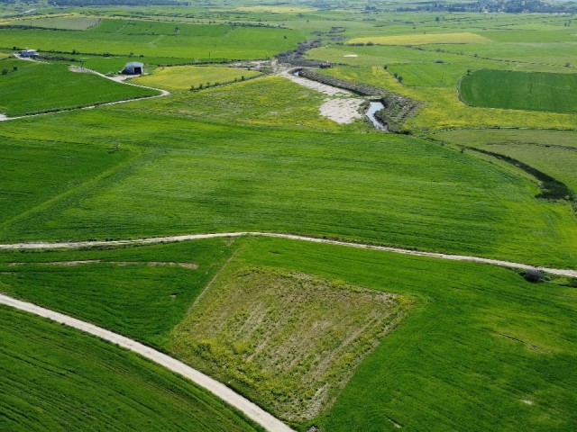 Поле на продажу на природе в Кирении, регион Козанкёй