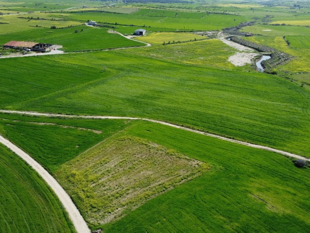 زمین برای فروش در طبیعت در منطقه کوزانکوی گیرنه