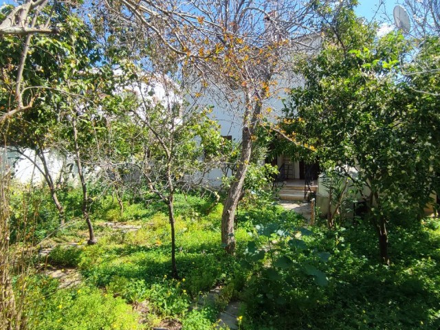 Detached Villa for Sale in Hamitköy, Nicosia