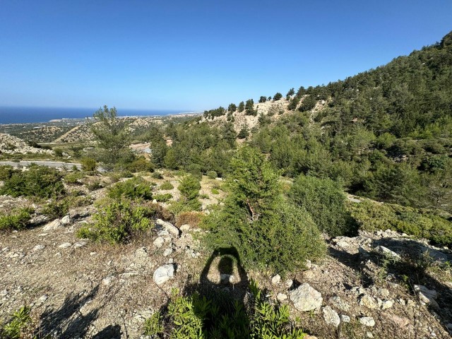 650 m2 große türkische Grundstücke mit Berg- und Meerblick in der Region Çatalköy!