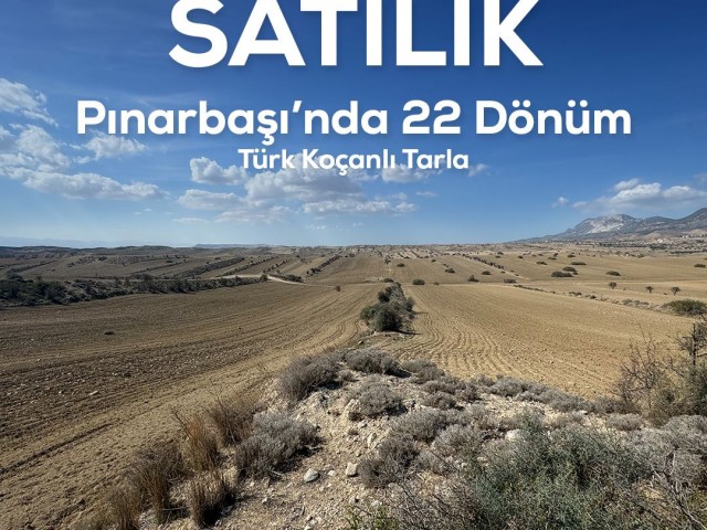 PINARBAŞI 'NDA SATILIK 22 DÖNÜM TÜRK KOÇAN TARLA
