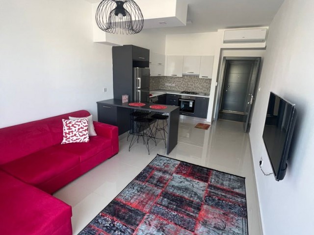 2+1 FLAT FOR RENT IN HAMITKOY REGION