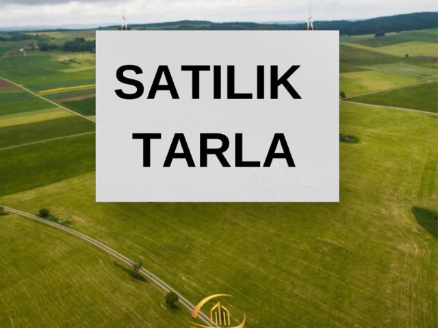 FIELD FOR SALE IN SERDARLI REGION