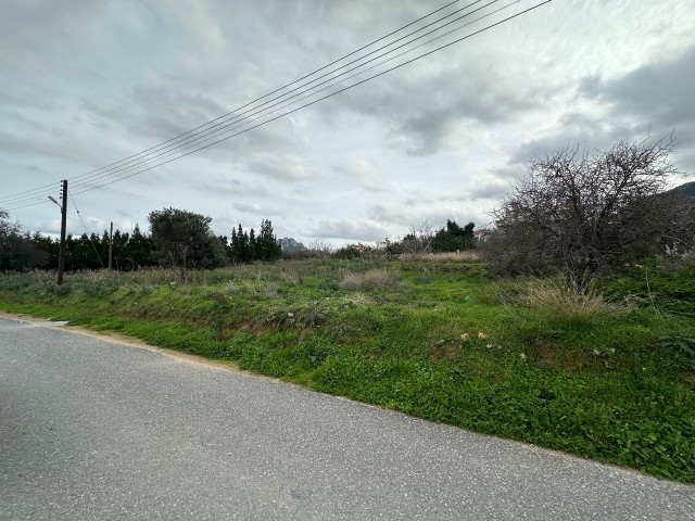 2 Hektar Land zum Verkauf in Arapköy