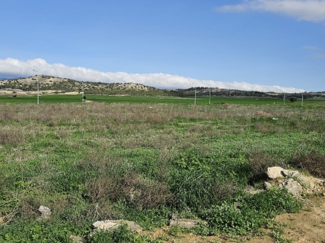 530m2 plots of land for sale in Türkeli!