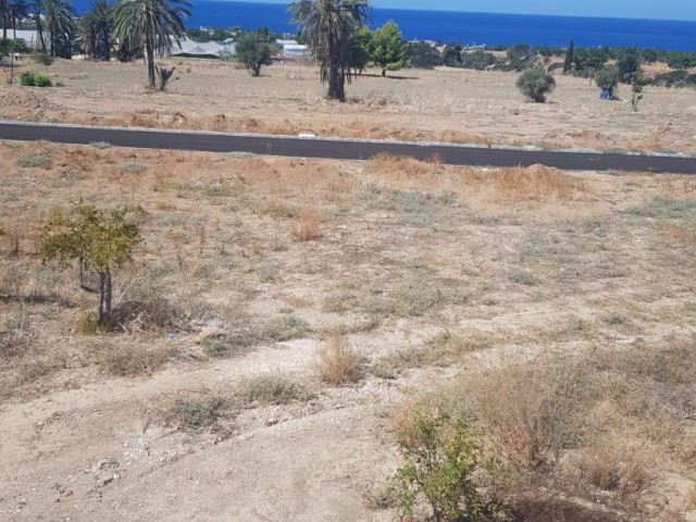 The last 4 plots of land with sea views in Tatlısu that have been completed!