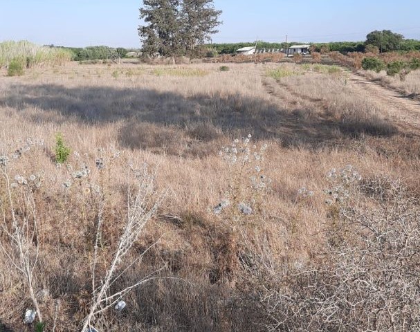 Land For Sale On The New Ring Road In Guzelyurt / Lefke ** 