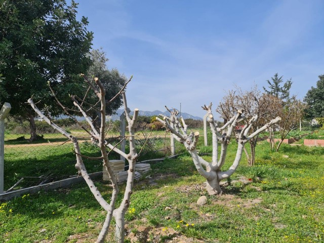 Land zum Verkauf in Kyrenia Arapkoyde ** 