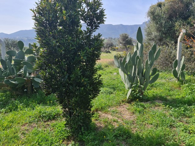 Land zum Verkauf in Kyrenia Arapkoyde ** 