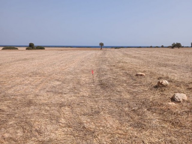 LAND FOR SALE IN İSKELE KUMYALI