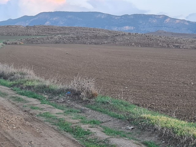 LAND FOR SALE IN GÖNYELI 