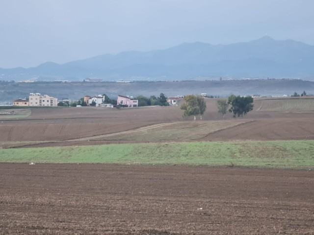 ЗЕМЛЯ НА ПРОДАЖУ В ГЁНИЕЛИ 