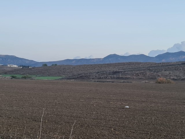 LAND FOR SALE IN GÖNYELI 