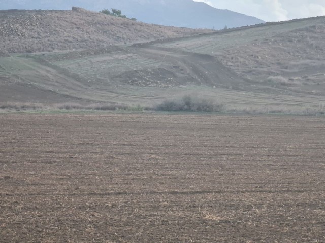 LAND FOR SALE IN GÖNYELI 