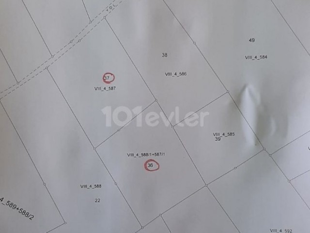 2 DONUM FIELDS FOR SALE IN BOLTAŞLI