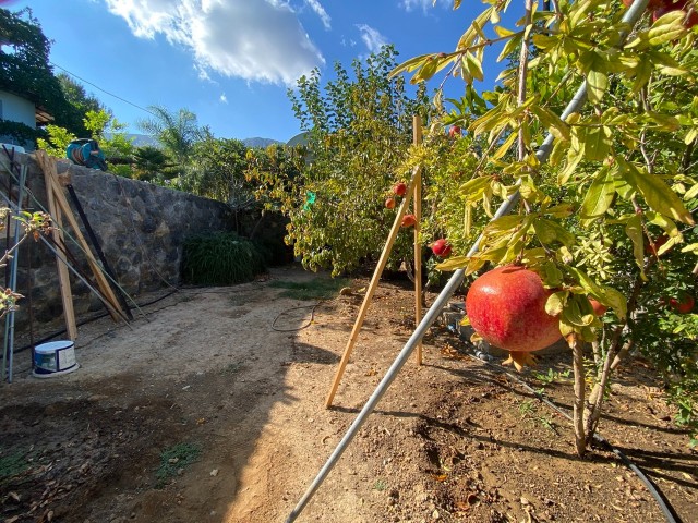 Sie möchten auf Zypern fast Autark mit niedrigen Energie und Wasserkosten leben, einem Garten der groß genug ist um sich selbst zu versorgen?