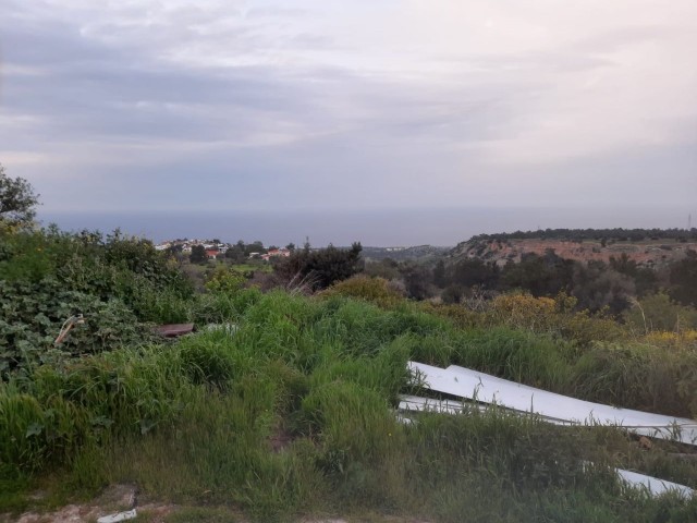 Freistehendes altes Haus mit Meerblick, das nicht vor der Ulme geschlossen ist ** 