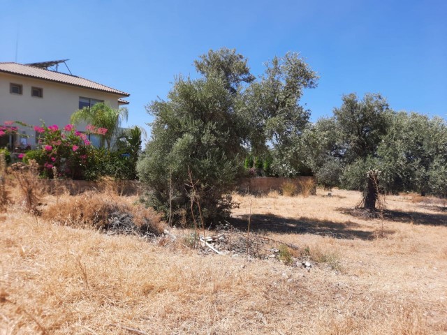 LAND FOR SALE IN ALSANCAK NECAT BRITISH COLLEGE REGION ** 