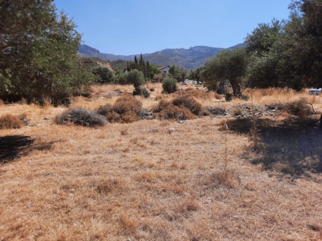 LAND FOR SALE IN ALSANCAK NECAT BRITISH COLLEGE REGION ** 