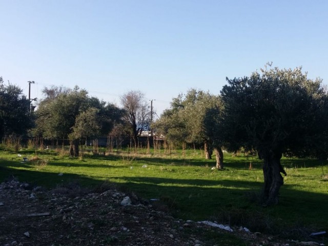 LAND FOR SALE 100 METERS FROM ALSANCAK Decat BRITISH COLLEGE ** 