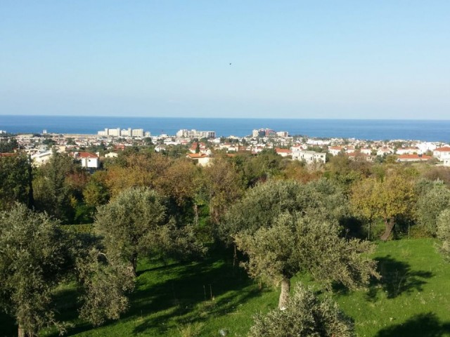 LAND FOR SALE 100 METERS FROM ALSANCAK Decat BRITISH COLLEGE ** 