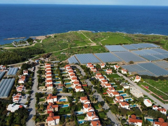 Villa mit privatem Pool in fußläufiger Entfernung zum Meer in Alsancak, Kyrenia