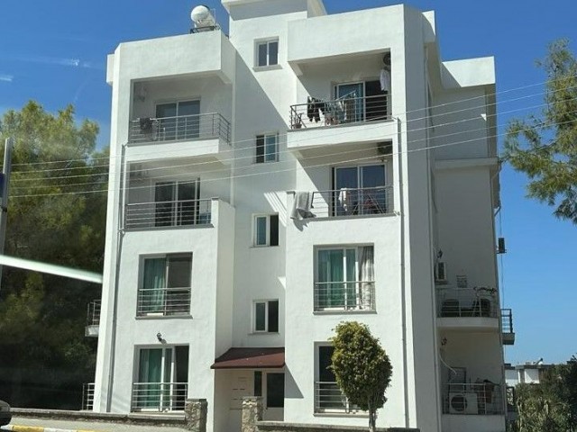 1+1 FLAT FOR RENT IN OLD NUSMAR MARKET AREA