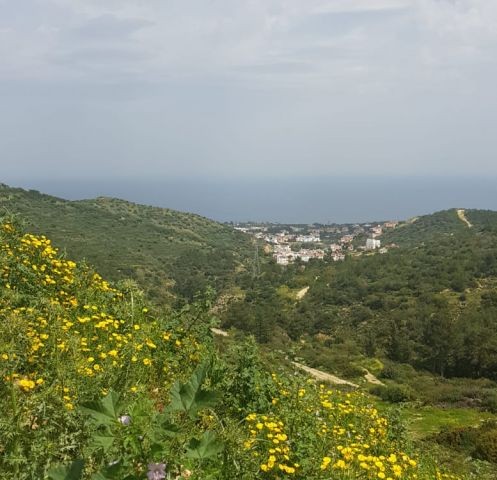 Residential Zoned Plot For Sale in Ilgaz, Kyrenia