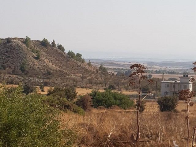 4 Hektar Land in Kyrenia Köhler 3 + 1 Haus zum Verkauf ** 