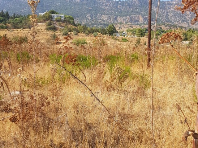 4 Hektar Land in Kyrenia Köhler 3 + 1 Haus zum Verkauf ** 