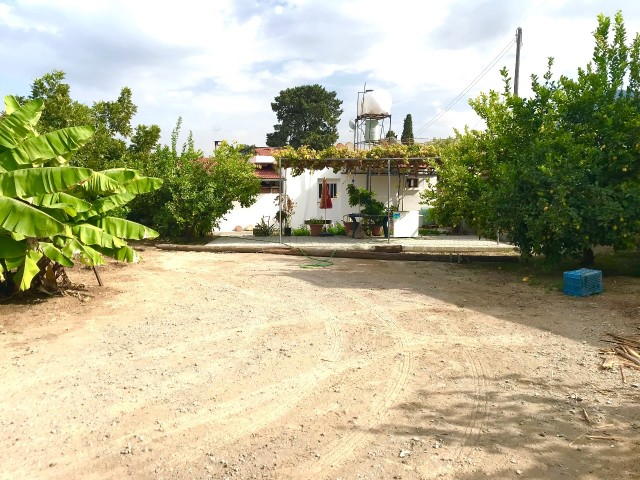 GIRNE CATALKOYDE , MUSTAKIL BUNGALOW EV , 3 YATAK ODALI ,1 YATAK ODALI MISAFIR EVI ,GENIS ARSA , EK BINA YAPILABILIR