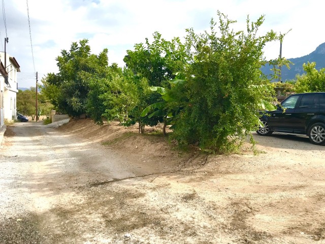 GIRNE CATALKOYDE , MUSTAKIL BUNGALOW EV , 3 YATAK ODALI ,1 YATAK ODALI MISAFIR EVI ,GENIS ARSA , EK BINA YAPILABILIR