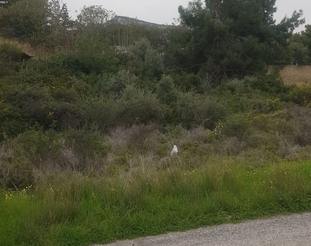 GRUNDSTÜCK ZUM VERKAUF IN KYRENIA CHATALKÖY ** 