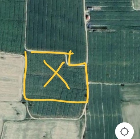 Field For Sale in Mormenekşe, Famagusta